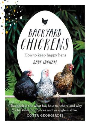 Backyard Chickens de Dave Ingham