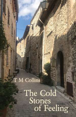 The Cold Stones of Feeling de T M Collins