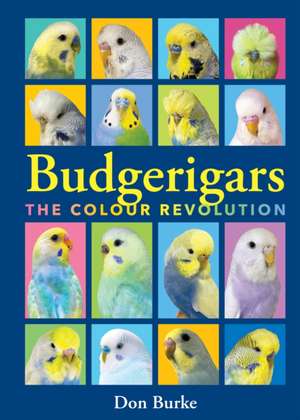 Budgerigars de Don Burke