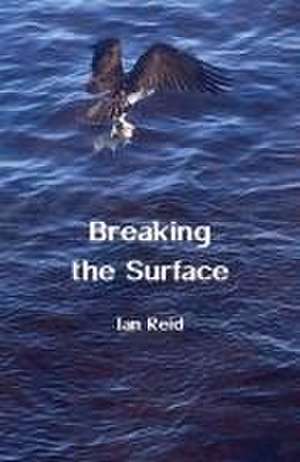 Breaking the Surface de Ian Reid