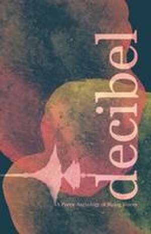 Decibel de Rising Voices Fellowship 2026