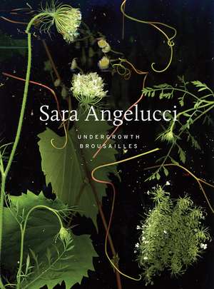 Sara Angelucci: Undergrowth / Brousailles de Sara Angelucci