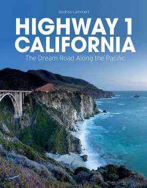 Highway 1 California de Andrea Lammert