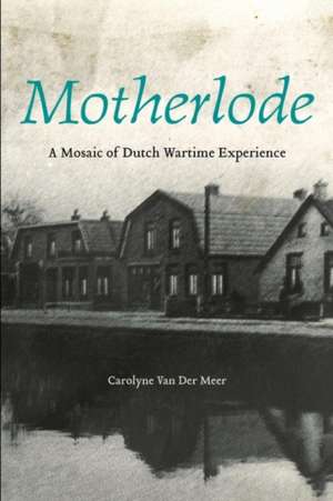 Motherlode de Carolyne Van Der Meer