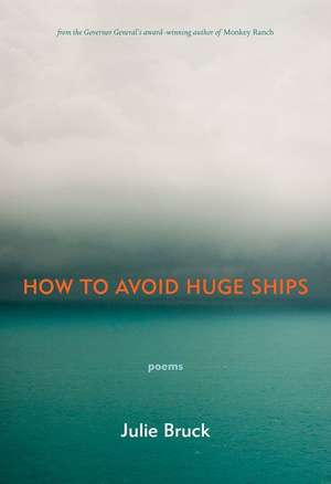 How to Avoid Huge Ships de Julie Bruck