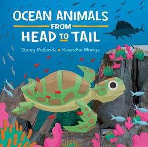 Ocean Animals from Head to Tail de Stacey Roderick