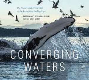 Converging Waters de Dan Hillert