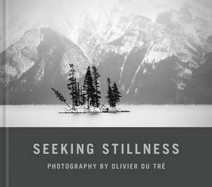 Seeking Stillness de Du Tre, Olivier