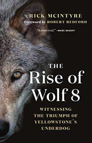 Rise of Wolf 8 de Rick McIntyre