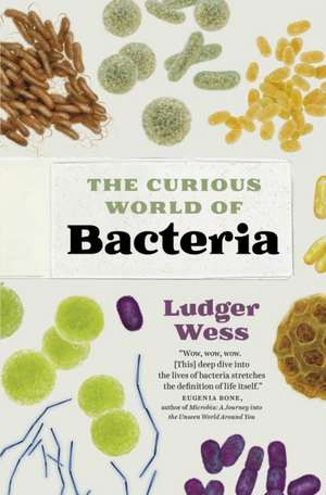 The Curious World of Bacteria de Ludger Wess