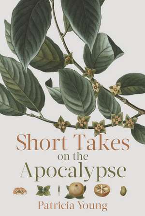 Short Takes on the Apocalypse de Patricia Young