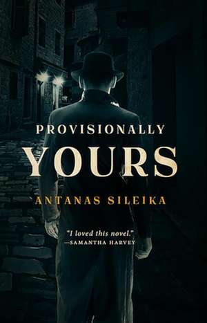 Provisionally Yours de Antanas Sileika