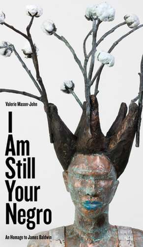 I Am Still Your Negro: An Homage to James Baldwin de Valerie Mason-John