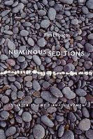 Numinous Seditions de Tim Lilburn