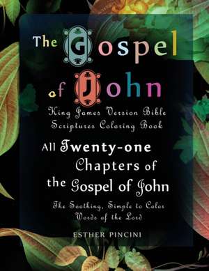 The Gospel of John de Pincini Esther