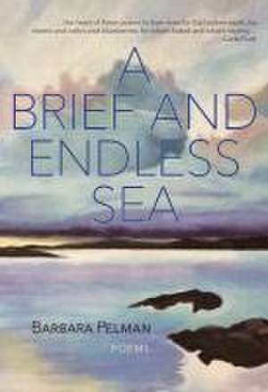 A Brief and Endless Sea de Barbara Pelman