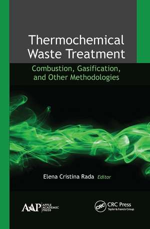 Thermochemical Waste Treatment: Combustion, Gasification, and Other Methodologies de Elena Cristina Rada