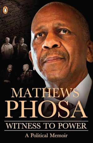 Witness to Power de Nakedi Mathews Phosa