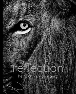 Reflection de Heinrich Van Den Berg