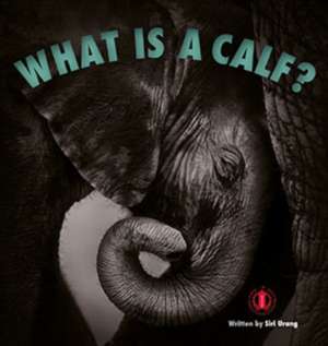 What is a Calf? de Siri Urang