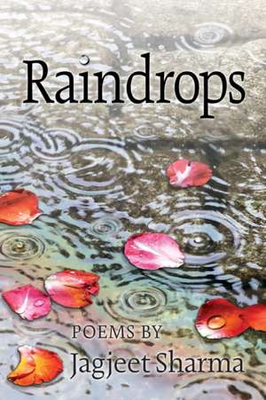 Raindrops de Jagjeet Sharma