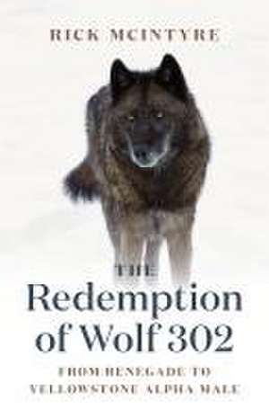 The Redemption of Wolf 302 de Rick McIntyre