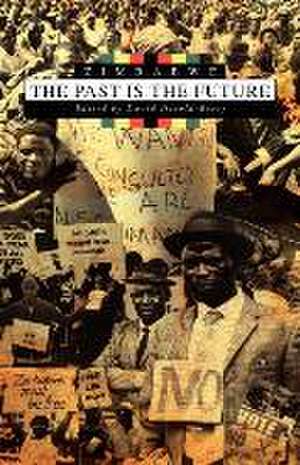 Zimbabwe. the Past Is the Future de David Harold-Barry