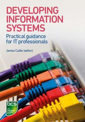 Developing Information Systems: Practical Guidance for It Professionals de Tahir Ahmed