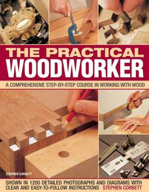 Practical Woodworker de Stephen Corbett