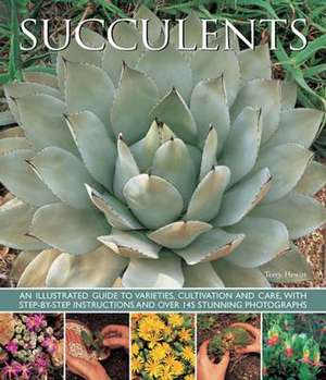 Succulents de Terry Hewitt