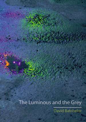 The Luminous and the Grey de David Batchelor