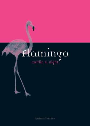 Flamingo de Caitlin R. Kight