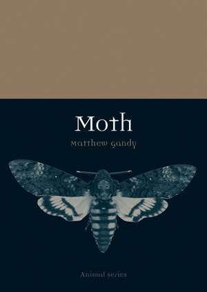 Moth de Matthew Gandy