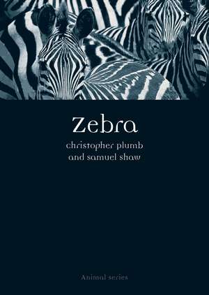 Zebra de Christopher Plumb