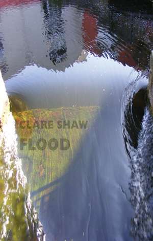 Flood de Clare Shaw