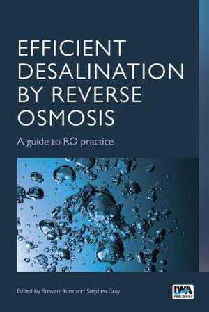 Efficient Desalination by Reverse Osmosis de Stephen Gray