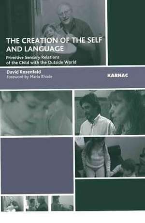 The Creation of the Self and Language: Primitive Sensory Relations of the Child with the Outside World de David Rosenfeld