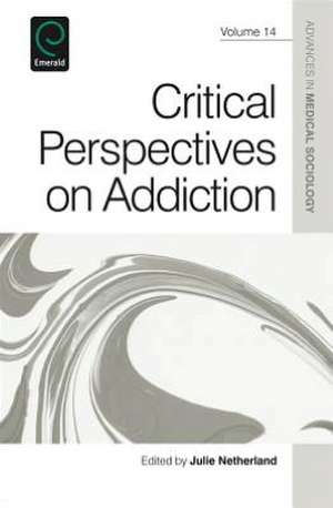 Critical Perspectives on Addiction de Julie Netherland