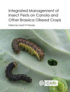 Integrated management of Insect Pests on Canola and other Brassica Oilseed Crops de Gadi V P Reddy