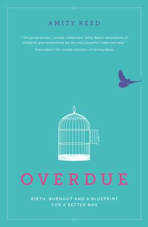 Overdue de Amity Reed