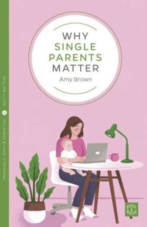 Why Single Parents Matter de Amy Brown