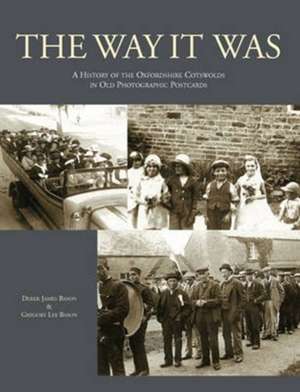 The Way it Was de Derek James Bason