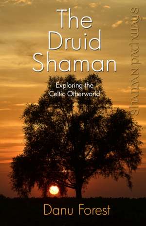 Shaman Pathways – The Druid Shaman – Exploring the Celtic Otherworld de Danu Forest