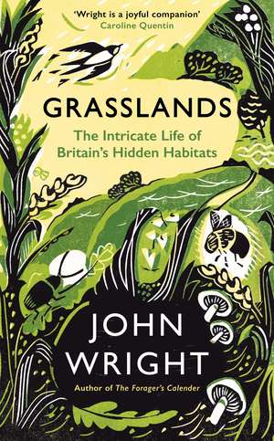 Grasslands: The Intricate Life of Britain's Hidden Habitats de John Wright