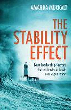 The Stability Effect de Amanda Muckalt