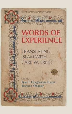 Words of Experience de Ilyse Morgenstein Fuerst