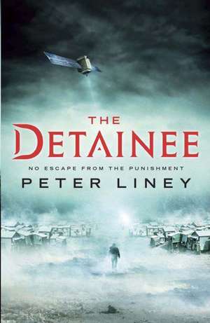 The Detainee de Peter Liney