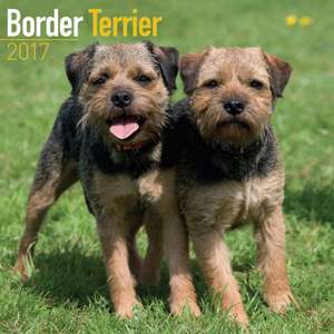 Border Terrier Calendar 2017 de Avonside Publishing Ltd.