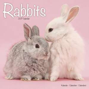 Rabbits Calendar 2017 de Avonside Publishing Ltd.