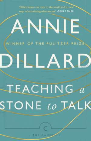 Teaching a Stone to Talk de Annie Dillard